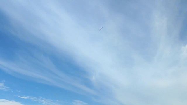 Maiden Flight of my newly designed RC Flying Wing. Hold on to your stick ? смотреть онлайн