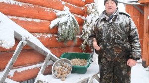 Мерзлая картошка для кур несушек.