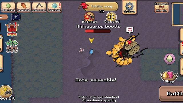 Silver Dollar Flower: 1hour Of Body Parts [Pocket Ants]