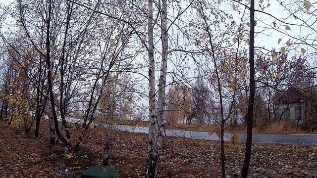27 октября-День ПАРАСКЕВЫ ПЯТНИЦЫ.Главная святая женщин.Что нельзя делать.Народные приметы смотреть онлайн
