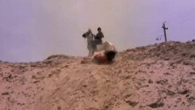 Will You Marry Me Full Song | Mard | Amitabh Bachchan, Amrita Singh