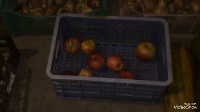 Как избавиться от мышей в погребе, подвале, хозпостройках. смотреть онлайн