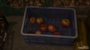 Как избавиться от мышей в погребе, подвале, хозпостройках.