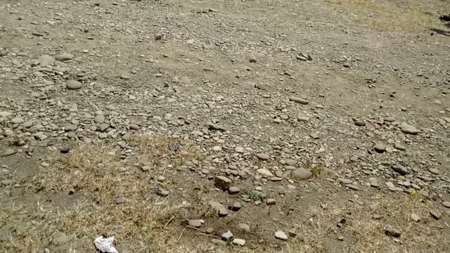 поездка на море 2015 июль смотреть онлайн