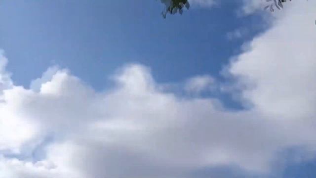прохожий указал правильное направление до г. Чехов / 70 км. пешком от Москвы, Аннино до г. Чехов смотреть онлайн