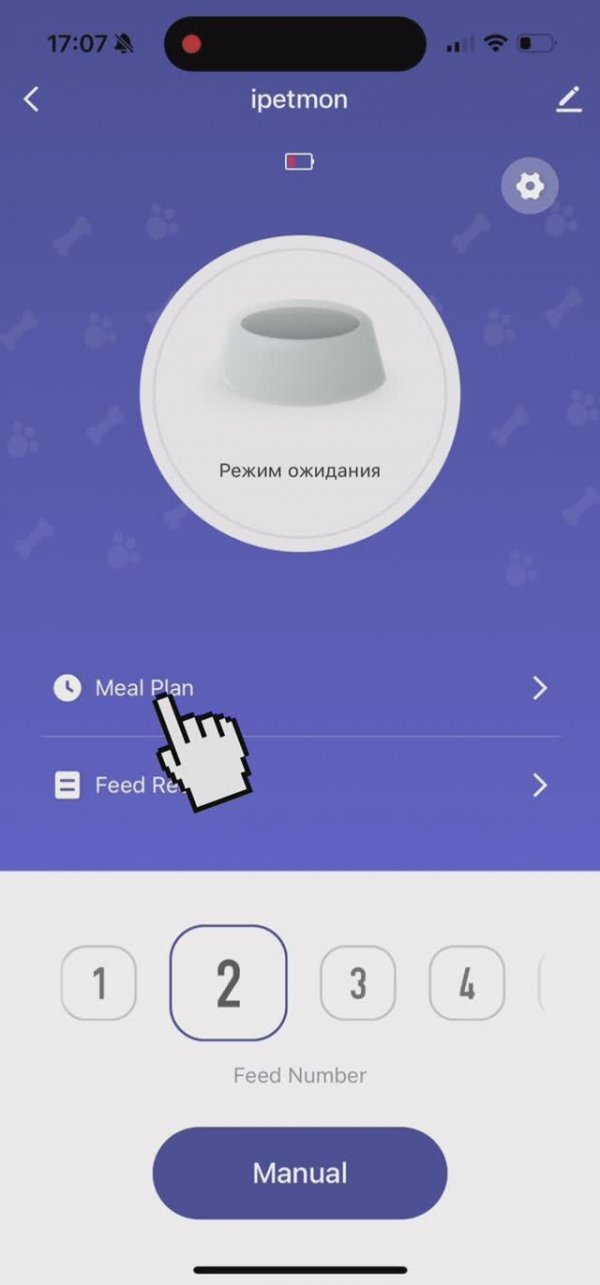 Настройка автокормушки в приложении Smart Life