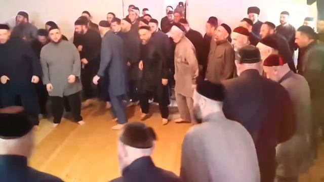 Meshuggah moshpit смотреть онлайн