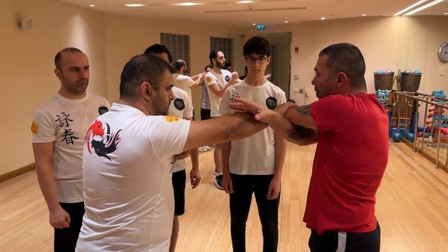 Chi-Sao | Wing Tsun Refleksleri смотреть онлайн