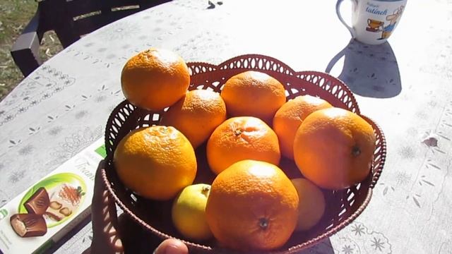 КАК БЕЛКА В КОЛЕСЕ / ГУРИЙСКИЙ БЫТ смотреть онлайн