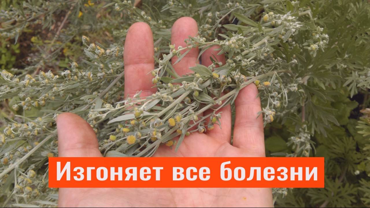 Любая хворь уйдёт из вашего дома навсегда! Как изгнать дух болезни смотреть онлайн