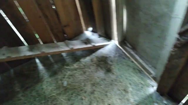 Ниппельная поилка для кур несушек из пластиковой бутылки смотреть онлайн