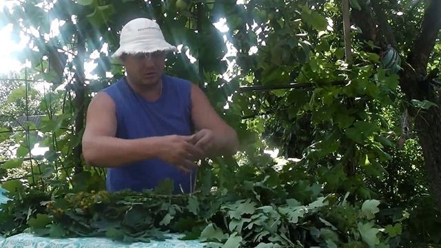 Заготавливаем дубовый веник в баню. смотреть онлайн