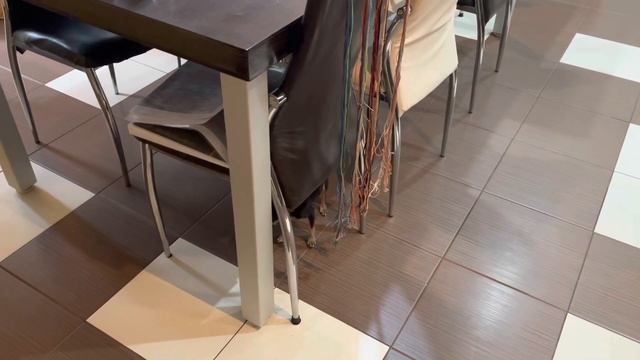 КОСМЕТИКА БЕЗ КОТОРОЙ МОЖНО ОБОЙТИСЬ | МОИ ПРОДВИЖЕНИЯ ДУША РОЗЫ VLOG:6.12.21 смотреть онлайн