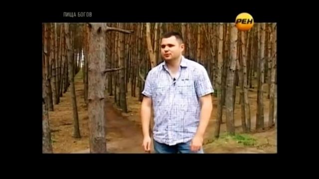 Бобовые это отличное средство  для похудения