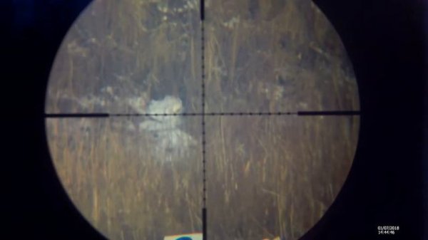 Иж 60 RusBear ScopeCam и БР100 в Экстримальный ветер.