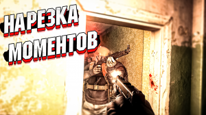 Tarkov - ПОДБОРКА со СТРИМОВ
