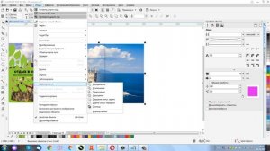 Работа с макетом в Corel - как обрезать картинки, позиционировать элементы