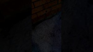 Замена прокладки под крышкой клапанов хендай Санта фе 2.2 дизель