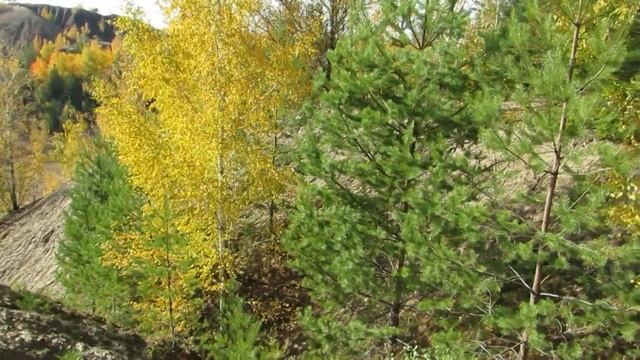 Недалеко от Тулы. Озера реально голубые, возле Суворова смотреть онлайн