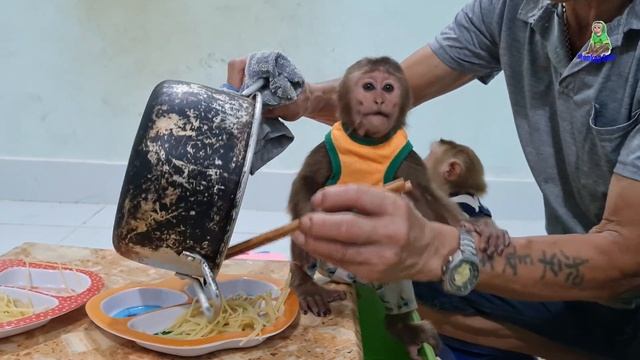 Sam boy can't wait to eat pasta cooked by his grandfather смотреть онлайн