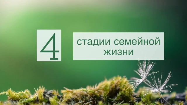 Четыре стадии семейной жизни смотреть онлайн