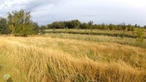 (18 ) ТЯЖЁЛОЕ ОТКРЫТИЕ НА УТКУ (сезон - осень - 2018).mp4