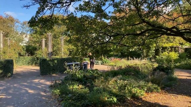 ⁴ᴷ⁶⁰ Odense City Walking Tour: Hans Christian Andersen City. Odense - Munkemose Park to Fyrtøjet смотреть онлайн