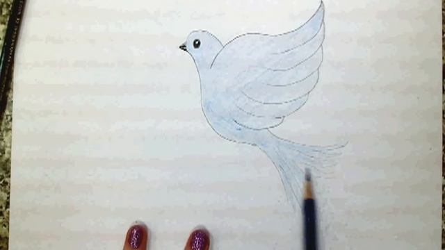 Как нарисовать голубя - уроки рисования для малышей от Варвары Зуевой смотреть онлайн