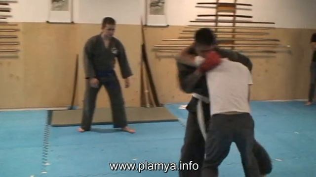 ПЛАМя - рукопашный бой - передняя подножка