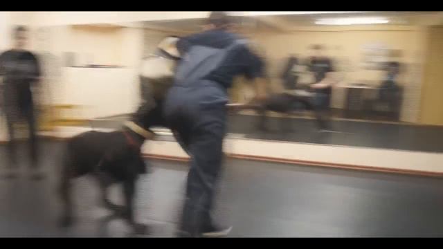 ЗАЩИТА смотреть онлайн