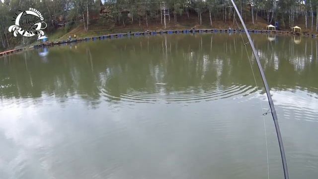 Классический фидер в Савельево 2 смотреть онлайн