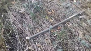 Ловлю фазана петлей.