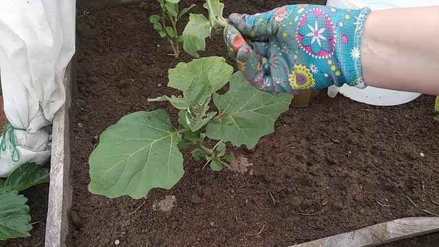 Стройка Секретов