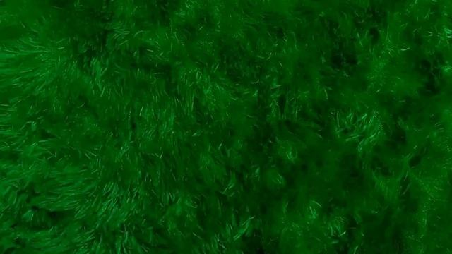 Mobil Truk Molen, Mobil Polisi, Truk Monster, Bus Sekolah, Truk Beko, Bus Telolet, Helikopter, Tayo смотреть онлайн