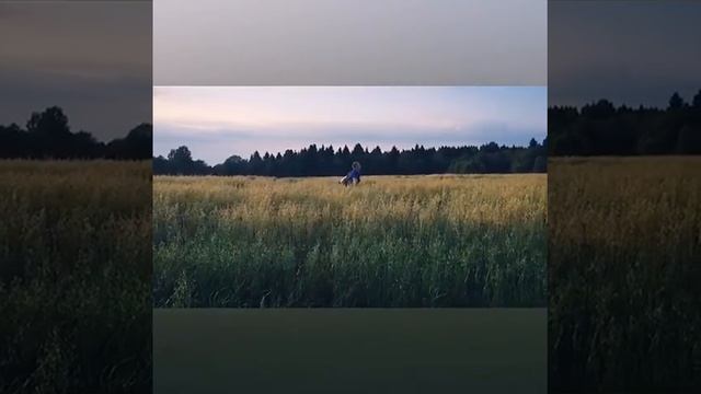По бескрайнему... | Роман Курцын #Instagram смотреть онлайн