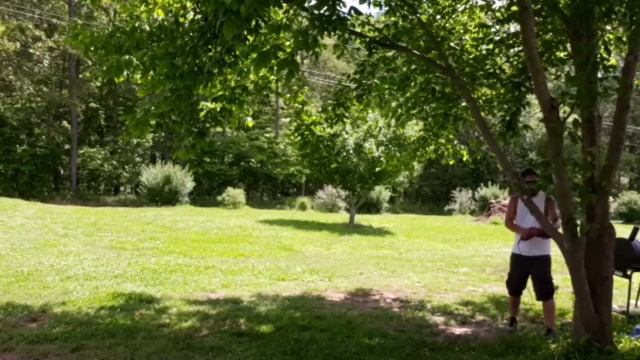 Harbor Freight Reciprocating Saw | Chicago Electric | Cutting Tree  Limbs