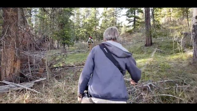 Nikon D850 Great Grey Owl Bird Photography with Steve Mattheis and Isaac Spotts in Jackson Wyoming смотреть онлайн