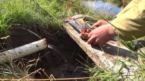 РАЗДЕЛКА РЫБЫ НОЖОМ ОХОТНИЧЬИМ / ПЕЧОРСКАЯ ЩУКА И ОКУНЬ / ПРИГОТОВЛЕНИЕ СЕРОЙ РЫБЫ ДЛЯ УХИ.