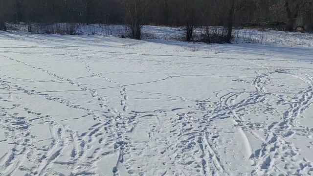 Старица реки Ворона, район ул. Добролюбова.