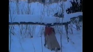 КАДЫШЕВА КЛИПЫ РУССКИЕ ПЕСНИ ЗАСТОЛЬНЫЕ  @oldenburgru