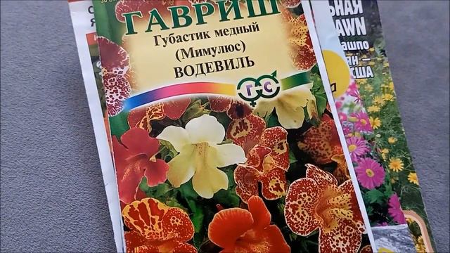 Какие цветы подойдут для групповых посадок ... смотреть онлайн