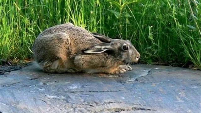 Seurasaari Open-Air Museum смотреть онлайн