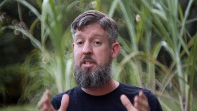 Could we use this common "invasive" tree to feed our gardens? смотреть онлайн