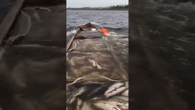 Из-за перегруза лодка начала тонуть вместе с рыбаками. смотреть онлайн