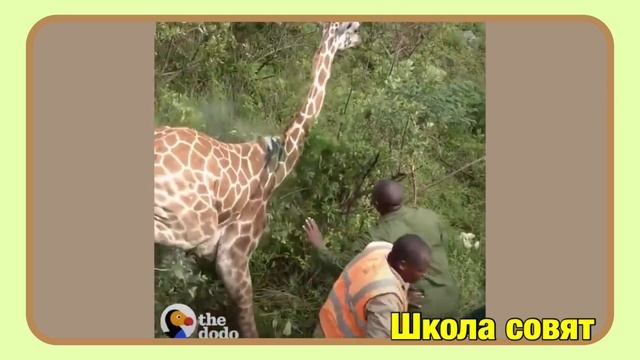 Считаем . Тренажёр. В пределах 10 смотреть онлайн