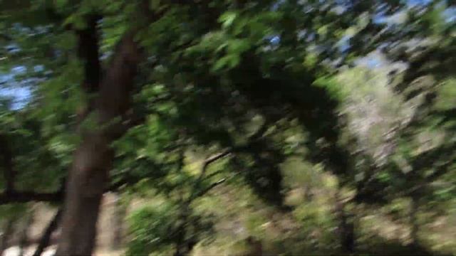 Дикий пляж. На яхте. Коста Рика смотреть онлайн