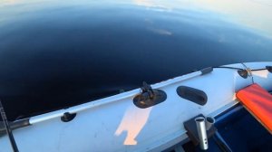 Лучший воблер на судака троллингом . (часть 2)