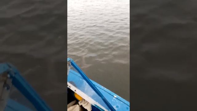 Щука на 10 кг. Рыбалка в Нарьян-маре смотреть онлайн