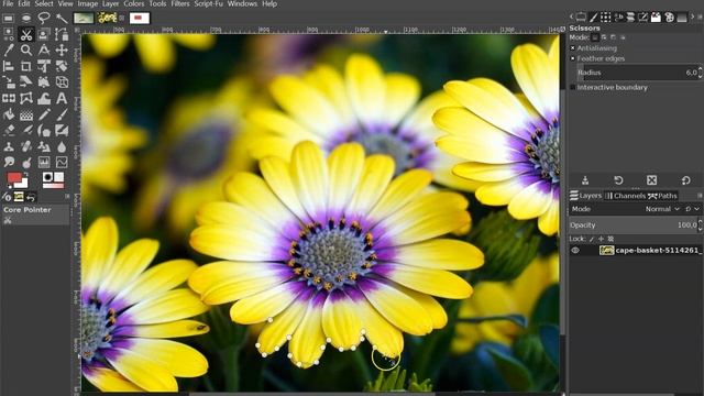 GIMP'te selection (seçim araçları) nasıl kullanılır? Uygulamalı anlatım смотреть онлайн
