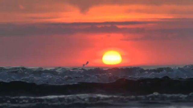 Tümmler am Morgen, Tümmler am Abend смотреть онлайн